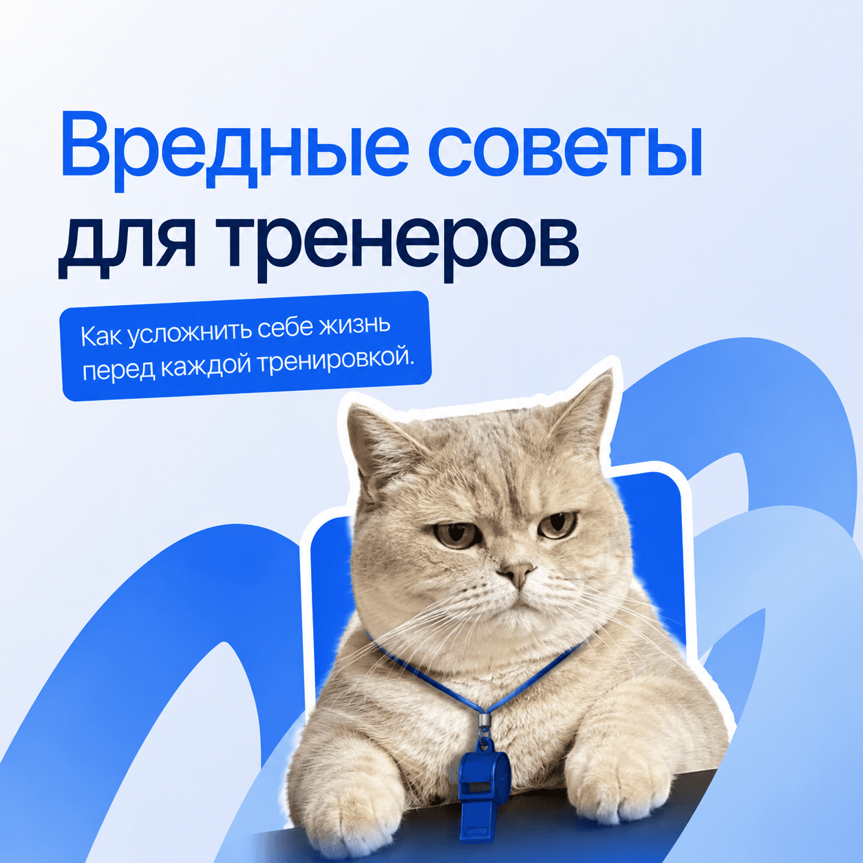Новая запись