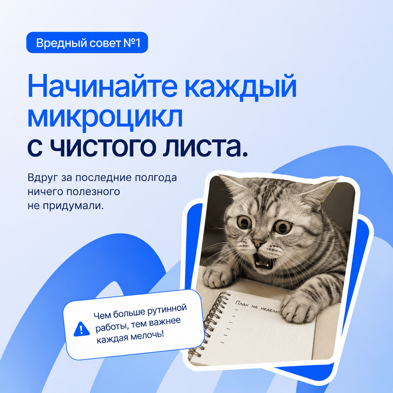 Тренер на семинаре